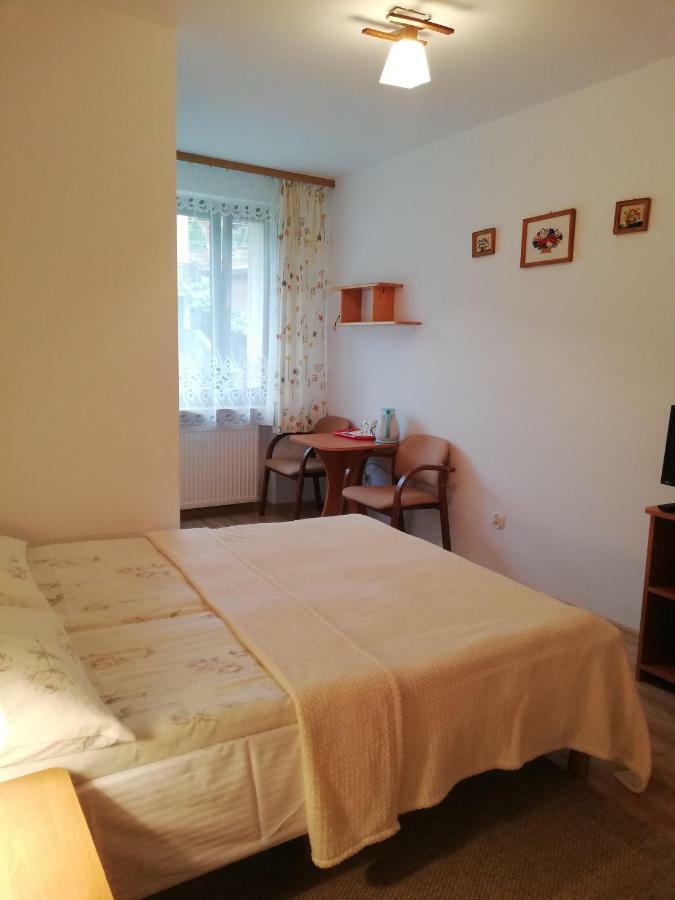 Arnika Apartment Krynica Zdroj Phòng bức ảnh